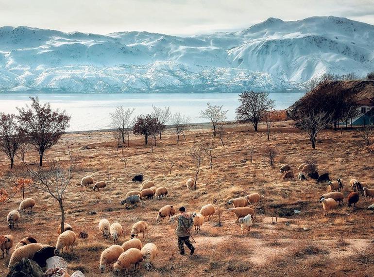 Şimdiki zamanın hikayesi