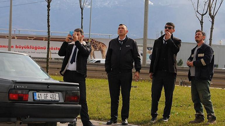 İntihardan vazgeçti, polisle yumruk selamı yaptı