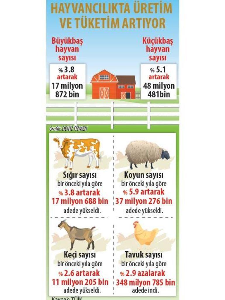 Hayvan ithalatı 1 milyar $ düştü