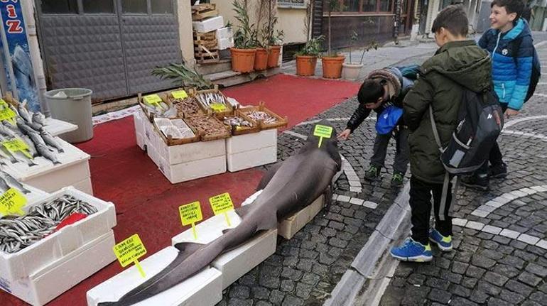 Marmarada yakalandı Tam 150 kilo