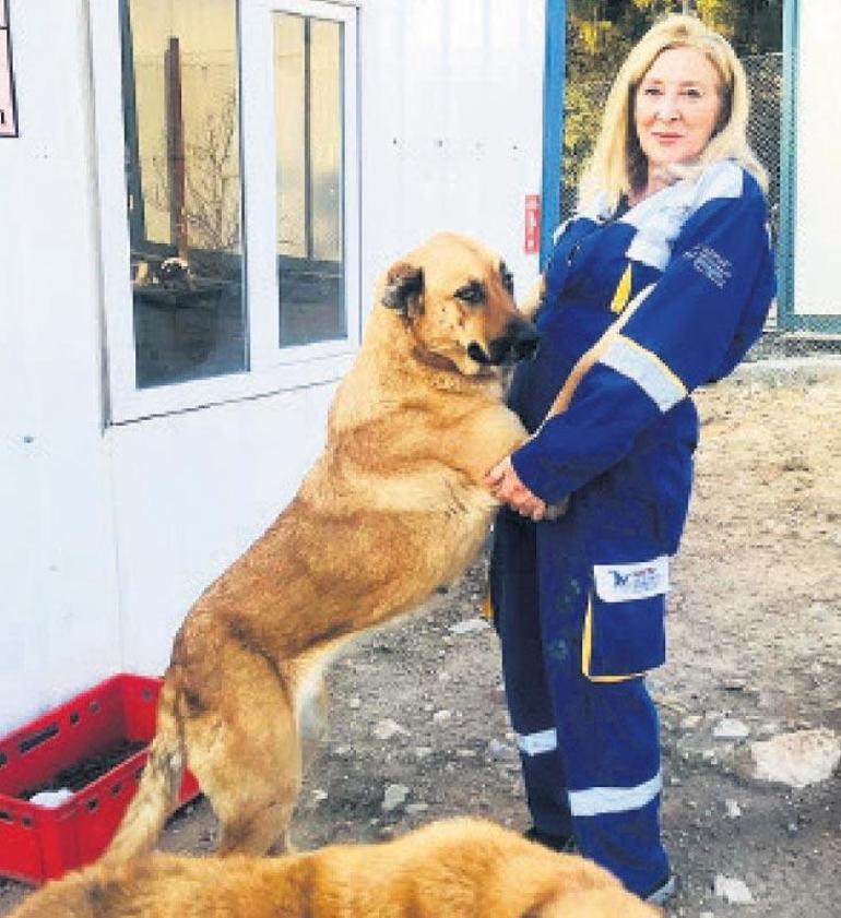 Sokaklardan sıcak yuvaya