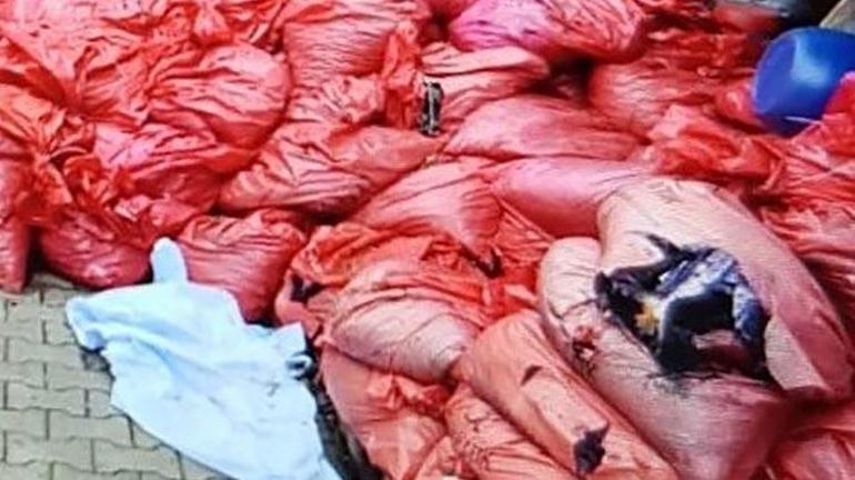 Sinop’taki yangın faciasında flaş gelişme 302 çuval külden kemik parçası çıkmadı