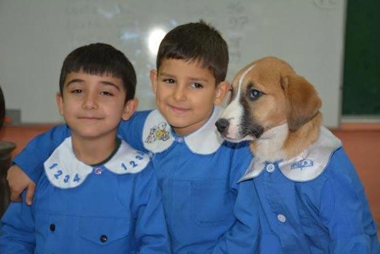 Sosyal medyanın ilgi odağı olmuştu Fındıktan kötü haber