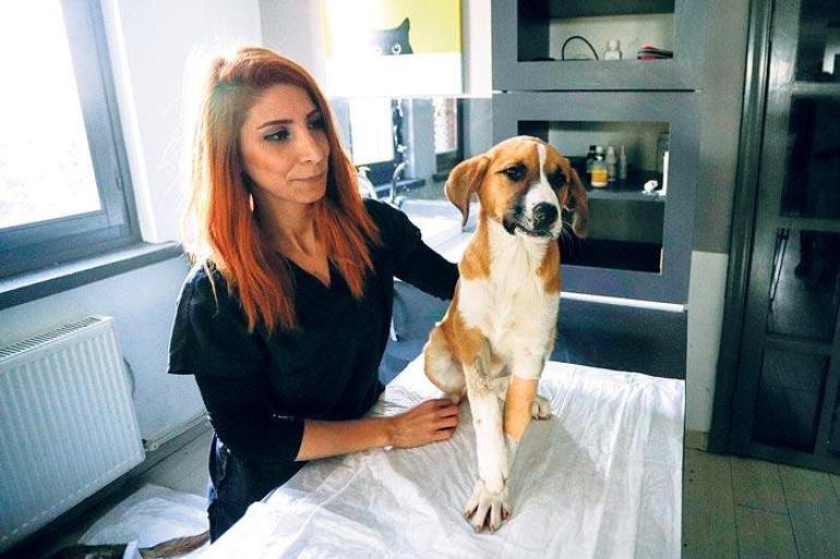 Sosyal medyanın ilgi odağı olmuştu Fındıktan kötü haber