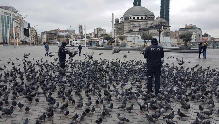 Taksimde aç kalan güvercinleri polisler besledi