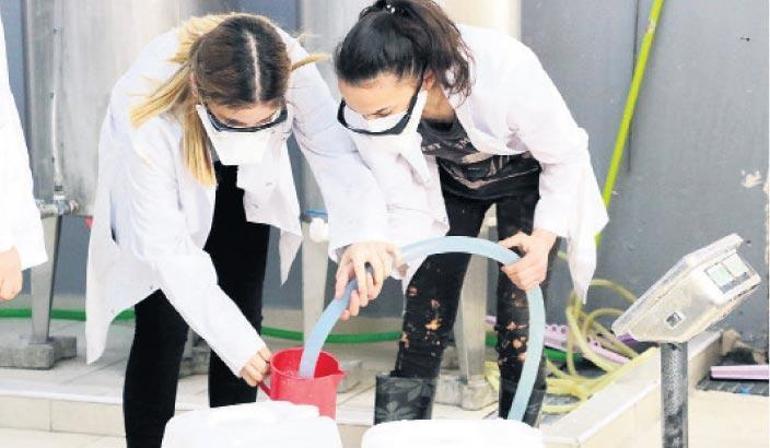 Mesleki Eğitimin  Paradoksu: Güçlü toplumsal mutabakat, düşük istihdam