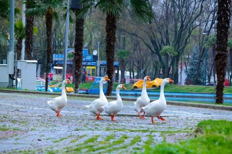 Koronaya karşı Bursa için omuz omuza