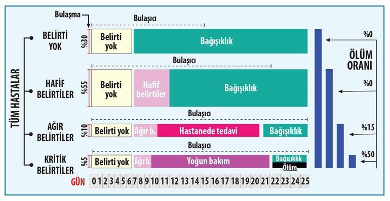 Koronavirüs hastalığının seyri