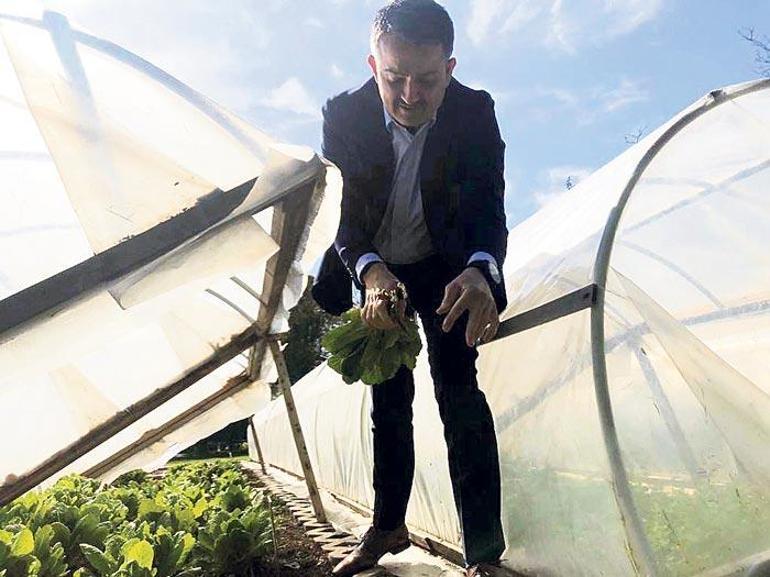 Tarım Bakanı Pakdemirli Milliyet ile sera gezdi: Sebze ve meyvede fazlamız var