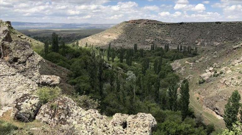 Türkiyenin 5 kültür mirası daha UNESCOda