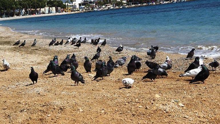 31 il sessizliğe büründü