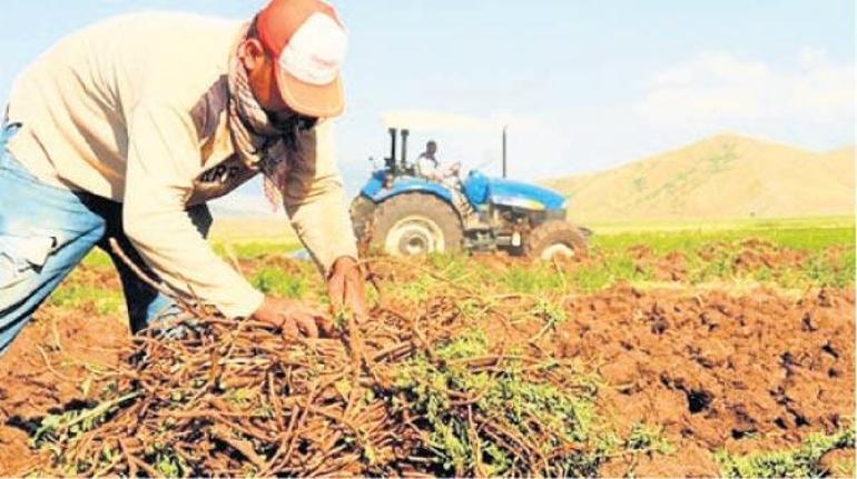 Tarıma sözleşme bereketi geldi