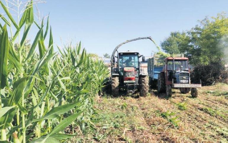 Tarıma sözleşme bereketi geldi