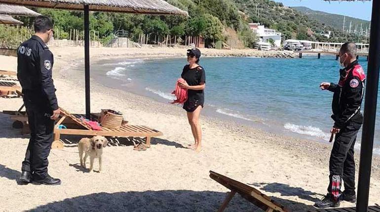Yer: Bodrum... Yasağa rağmen geldi, yakalanınca kaçtı
