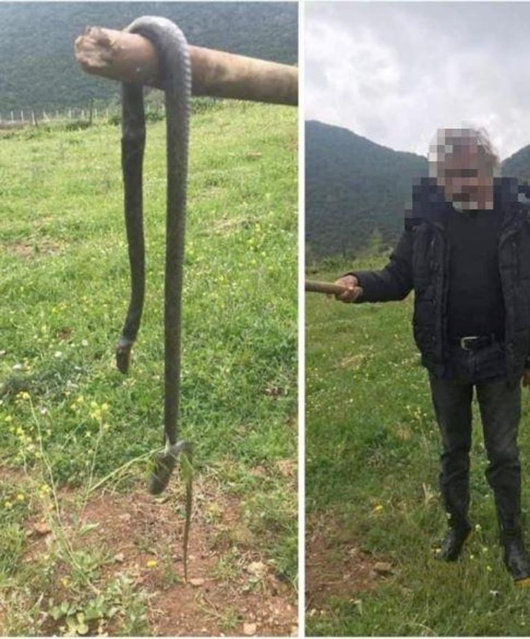 Gaziantepte yakaladı 2 metre boyunda... Bu fotoğraftan 6 gün sonra cezası belli oldu