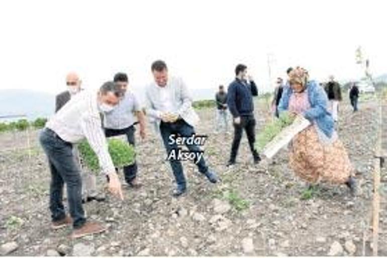 Toprak şenleniyor