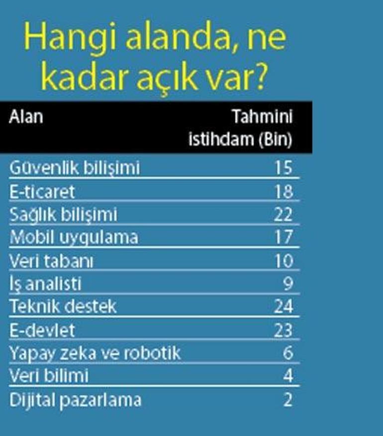 Yazılımcı ordusu Türkiye’yi uçurur