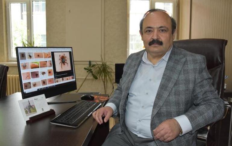 Son dakika Kene vakaları geçen senelere göre 7 kat arttı