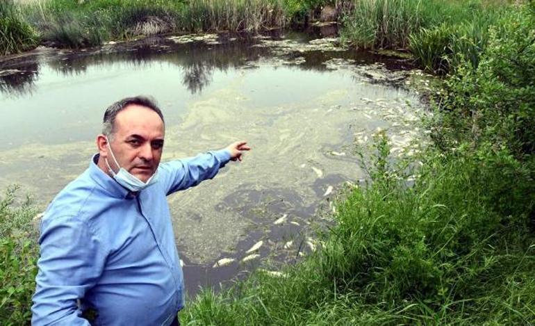 Barajdaki balık ölümlerinin nedeni sudaki oksijen değerinin düşmesi