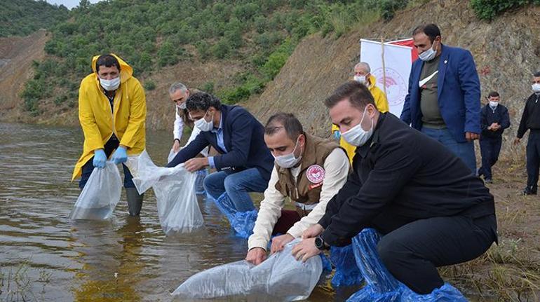 Tam 9 bin tanesini suya bırakıldı