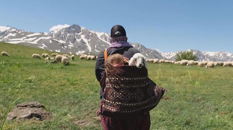 5 yaşındaki Şirinin annesinin sırtında kuzuyla birlikte yayla yolculuğu