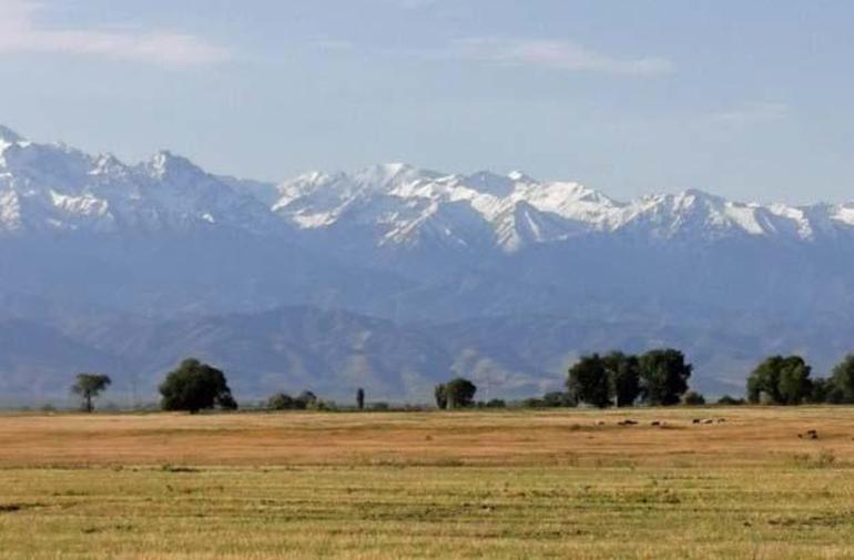 Kazakistan’da Bir “Batık Orman”