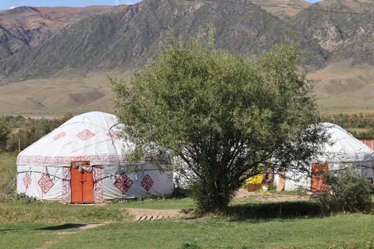 Kazakistan’da Bir “Batık Orman”