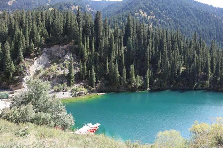 Kazakistan’da Bir “Batık Orman”