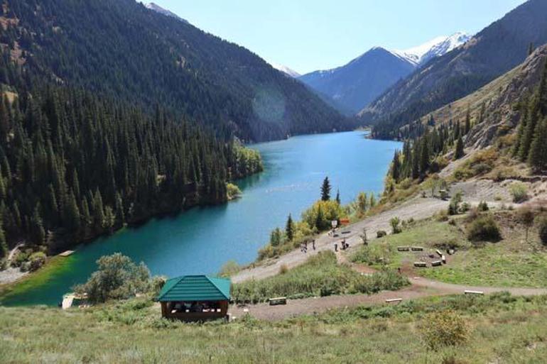 Kazakistan’da Bir “Batık Orman”