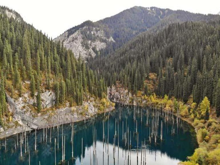 Kazakistan’da Bir “Batık Orman”