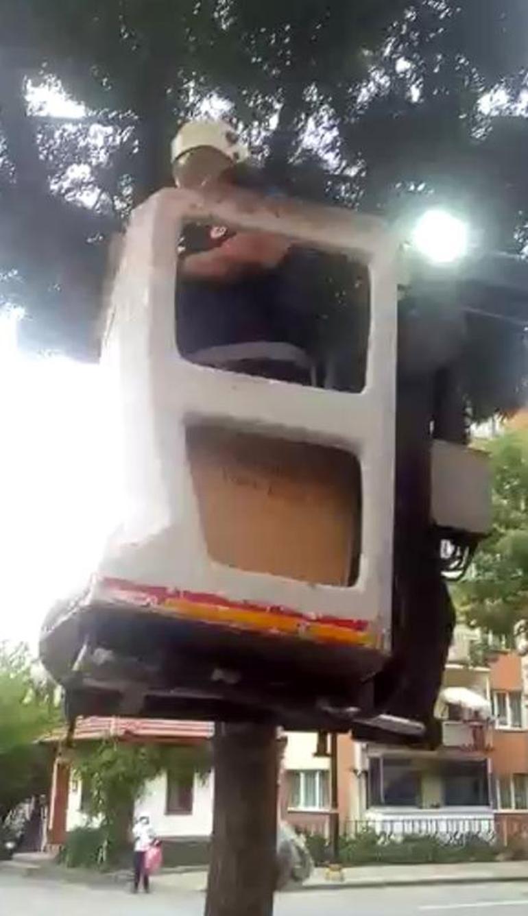 Yuvasından düştü... İtfaiye ekipleri yerine koydu