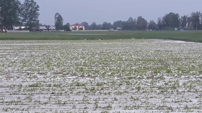 Son dakika... Dikkat Meteorolojiden uyarı üstüne uyarı