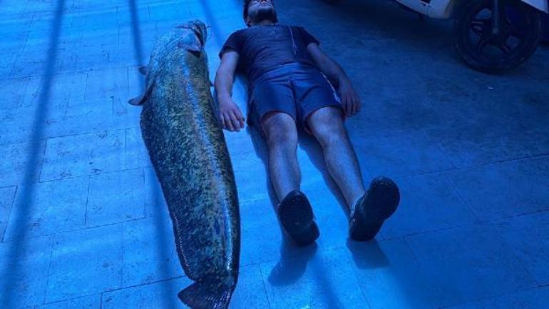 Gölde yakaladığı 1,5 metrelik yayın balıklarını, 21 bin liraya sattı