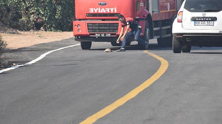 Son dakika haberleri: Bodrumda yangın paniği 1,5 saatte kontrol altına alındı
