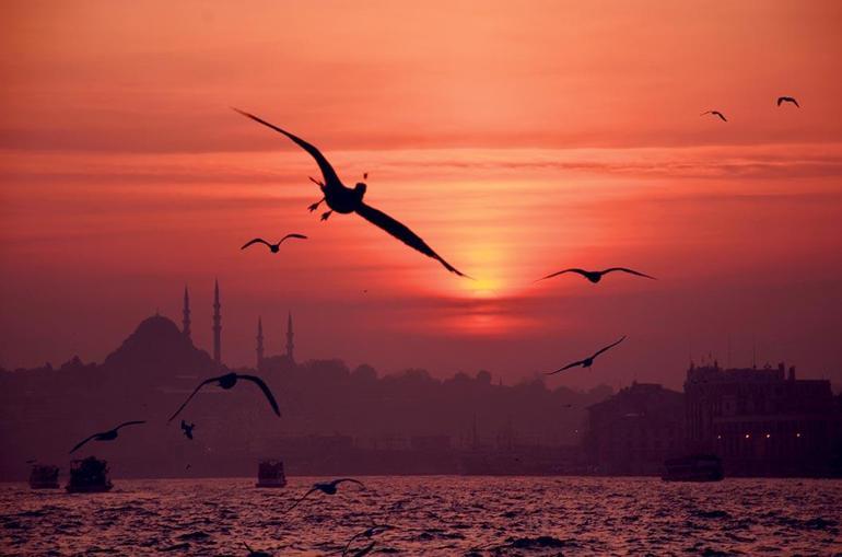Şimdiki zamanın hikayesi