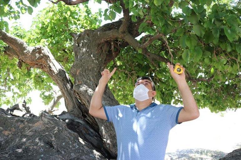 Yer: Nevşehir Yaklaşık bin yıllık: Koruma altına alındı