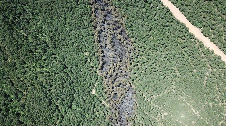 Kayışdağıda yanan ormanlık alan havadan fotoğraflandı