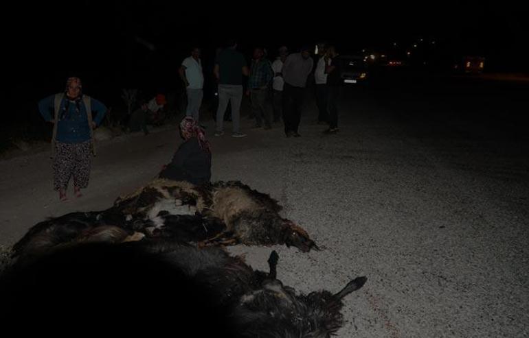 Otomobil keçi sürüsüne daldı: 1 yaralı, 22 keçi öldü