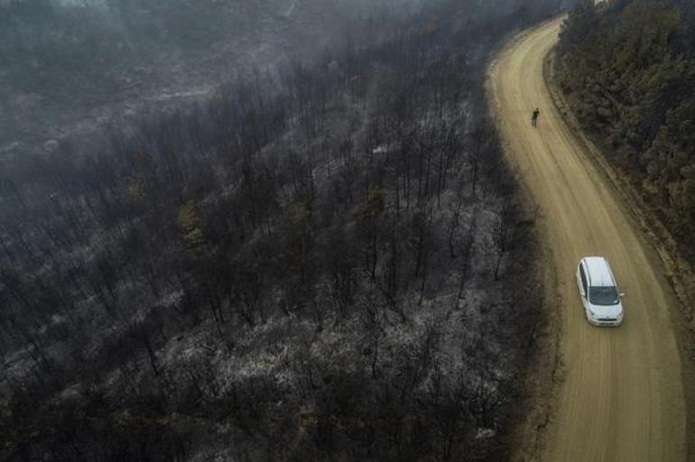 Geliboluda orman yangını 19 saatte kontrol altına alındı, 450 hektar alan yandı