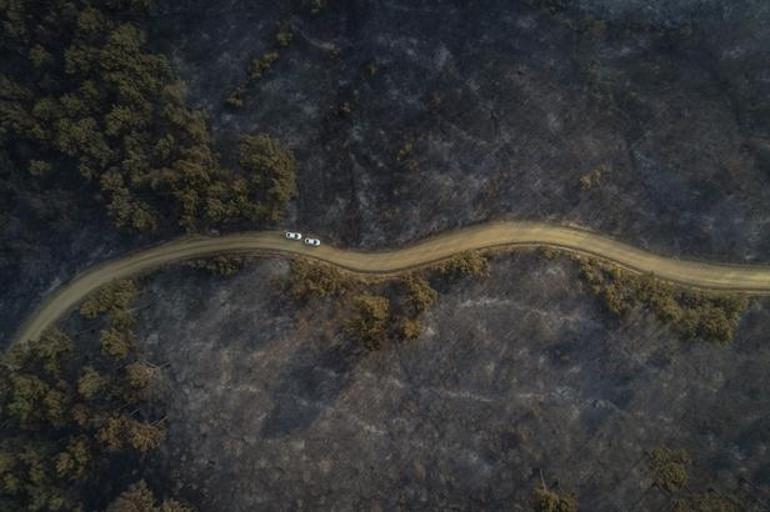 Geliboluda orman yangını 19 saatte kontrol altına alındı, 450 hektar alan yandı