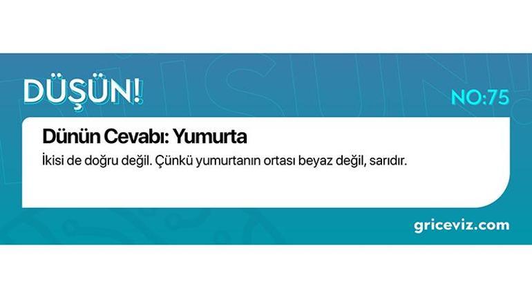 Günün bulmacası: Vezirler