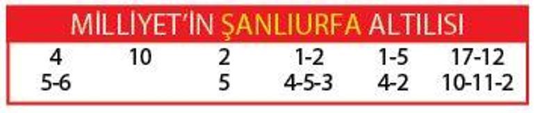 Afrikaander şanslı