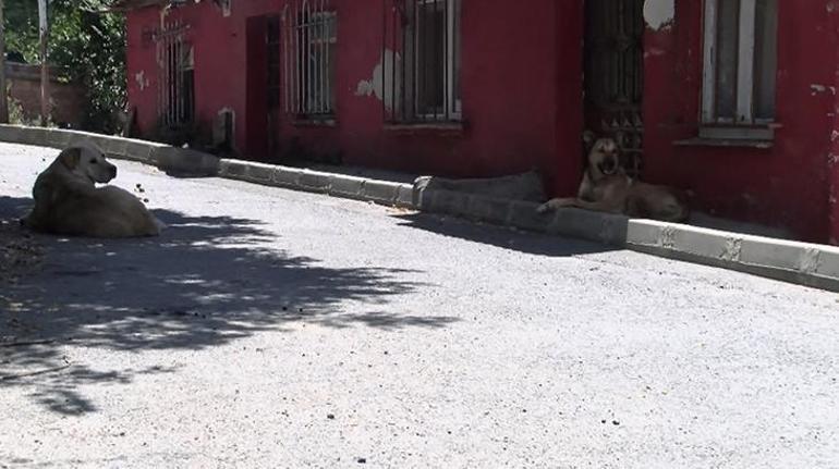 Aileden tüyler ürperten iddia Evlerini taş yağmuruna tuttular