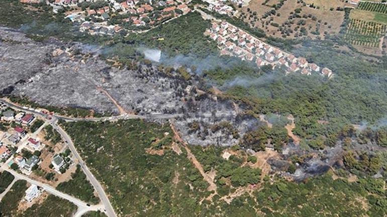 Son dakika... Çağan Irmak paylaştı Seferihisar yanıyor Yanıyoruz