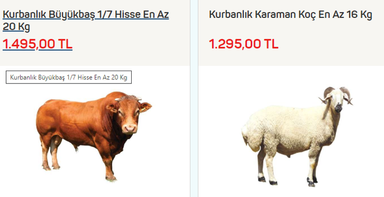 Kurbanlık fiyatları 2020 İstanbulda ne kadar Kurban fiyatları Migros - Carrefour - A 101