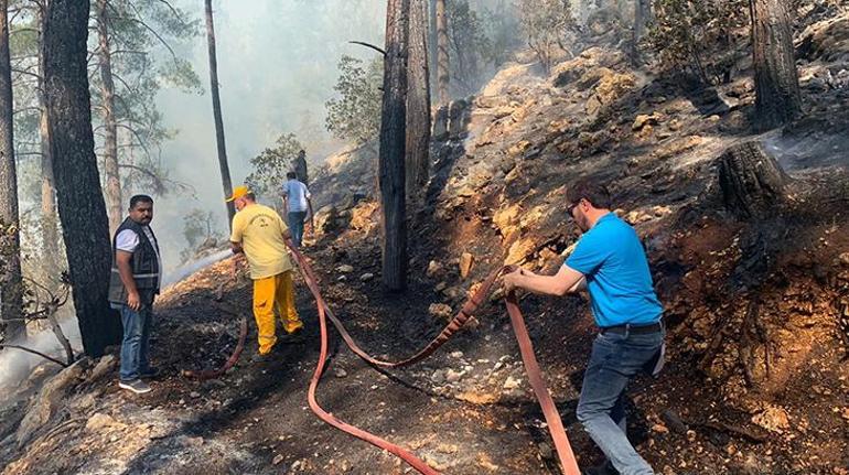 Burdurda mangal ateşi, 46 dönüm araziyi kül etti