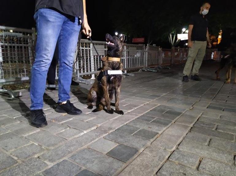 Ayasofyada bayram namazı hazırlığı
