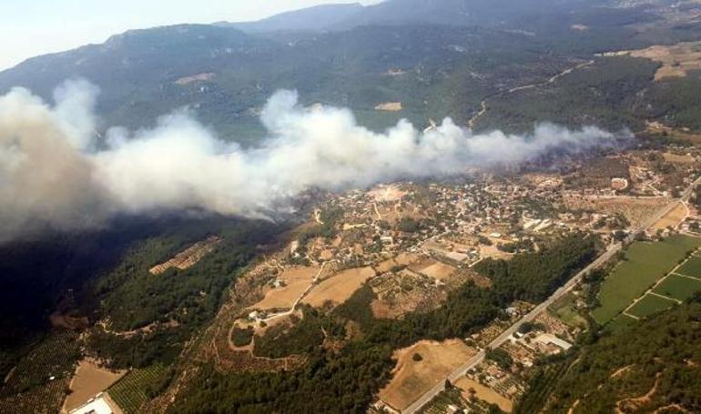 Son dakika İzmirin Menderes ilçesinde orman yangını çıktı