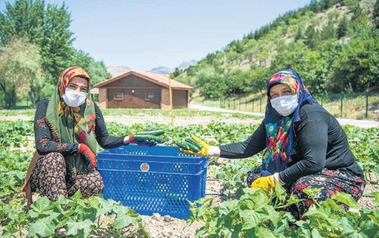 Masmavi koyda ‘Âlâ Kadınlar Plajı’