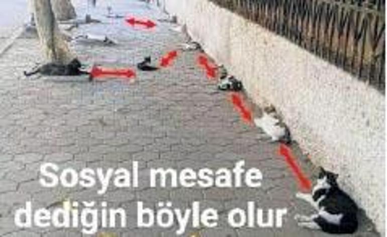 Gençler, bu işin şakası yok artık, biraz gayret...